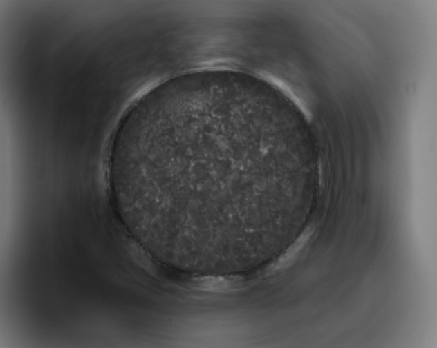 X0000096721405200802191519