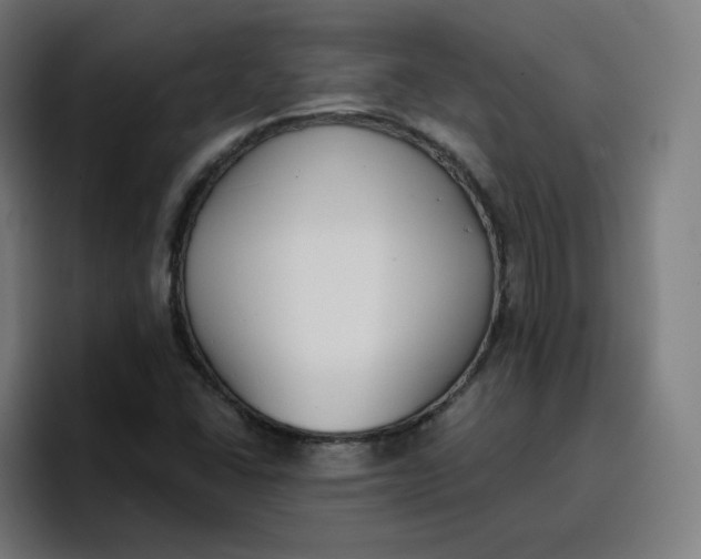 X0000096721406200802191519