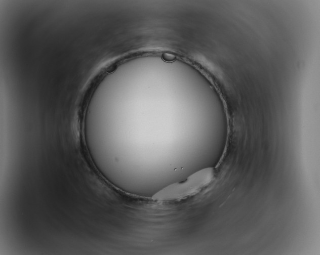 X0000096721408200802191519