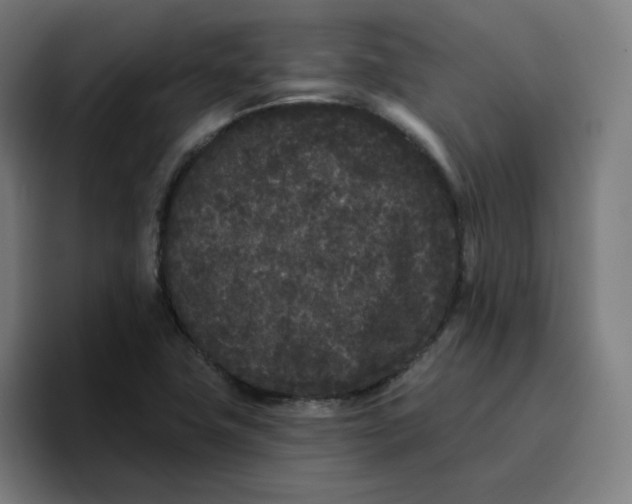 X0000096721411200802191519