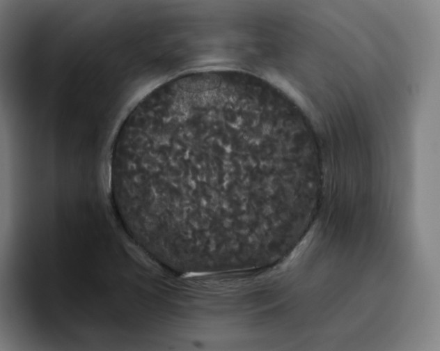 X0000096721413200802191519