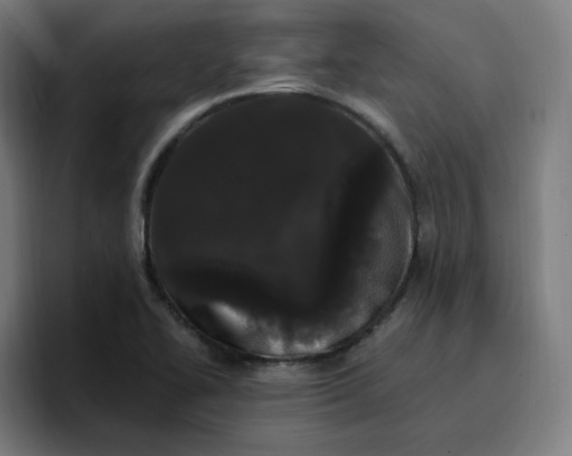 X0000096721414200802191519