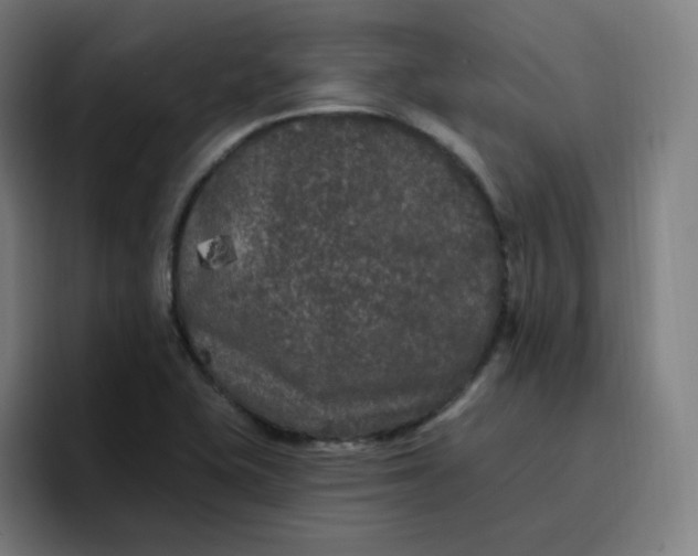 X0000096721415200802191519