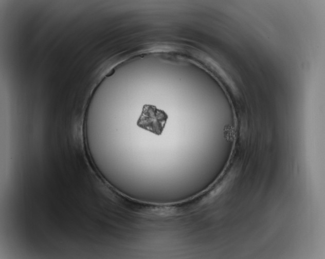 X0000096721417200802191519