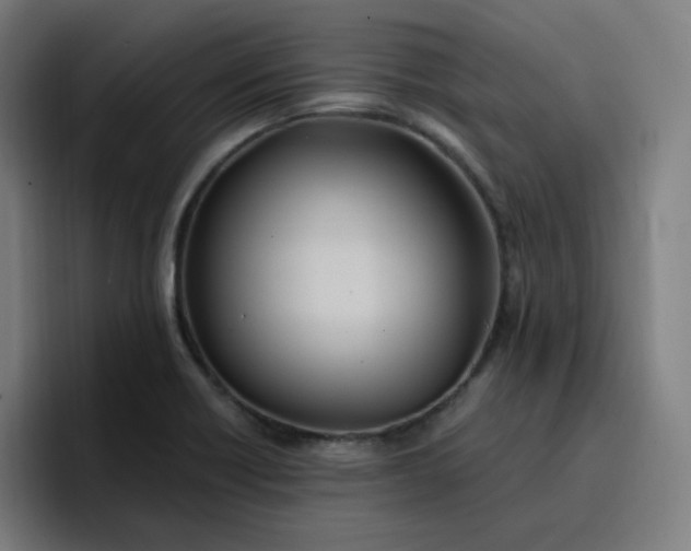 X0000096721418200802191519