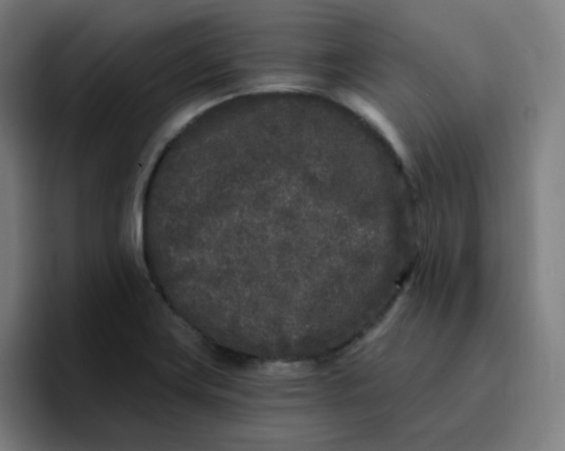 X0000096721419200802191519