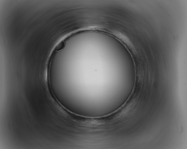 X0000096721420200802191519