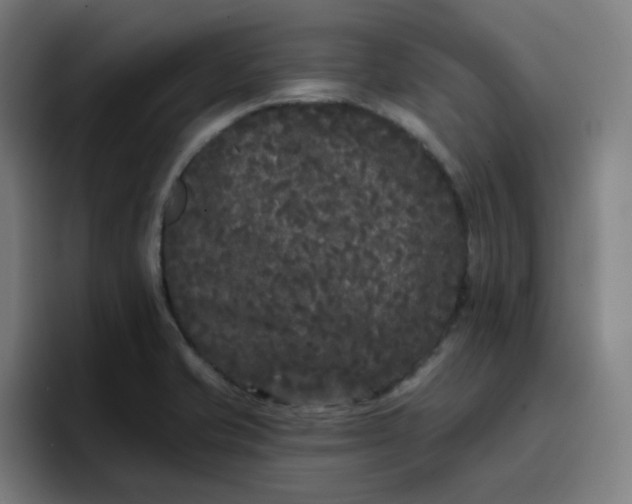 X0000096721421200802191519