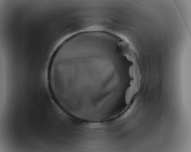 X0000096721422200802191519