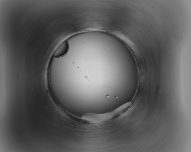 X0000096721423200802191519