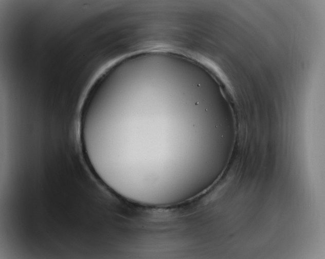 X0000096721424200802191519