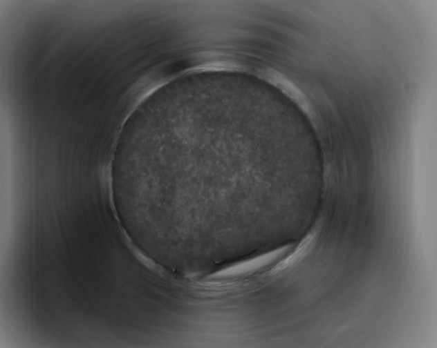 X0000096721425200802191519