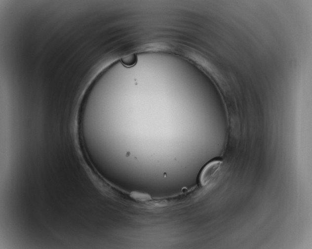 X0000096721426200802191519