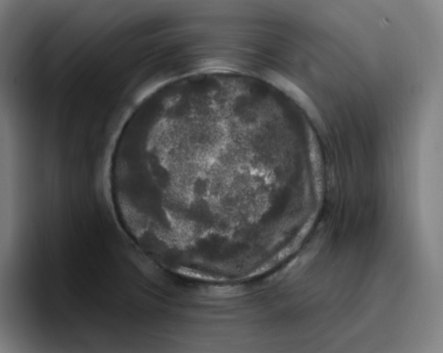 X0000096721427200802191519