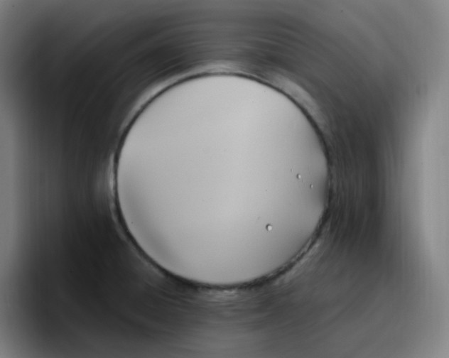 X0000096721428200802191519