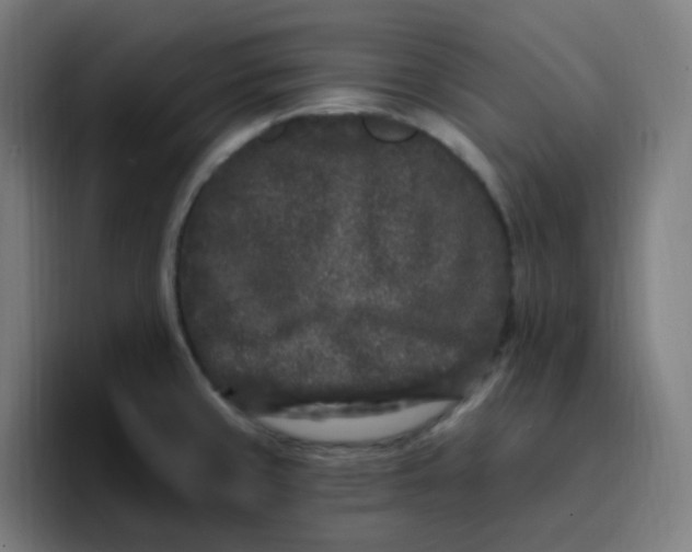 X0000096721429200802191519