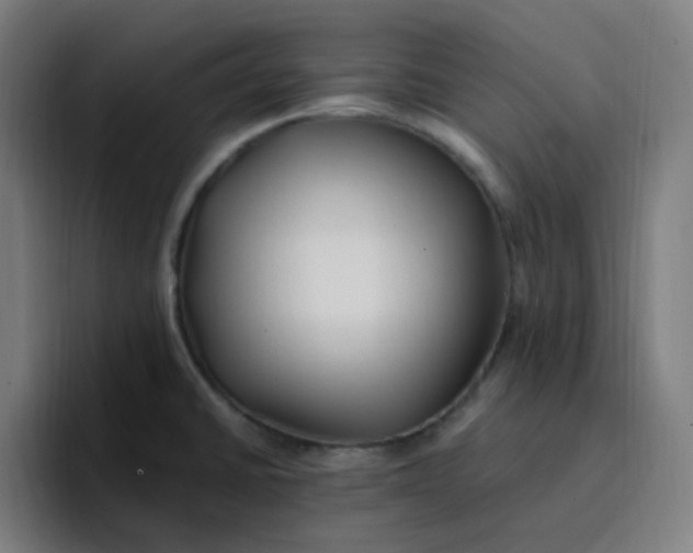 X0000096721430200802191519