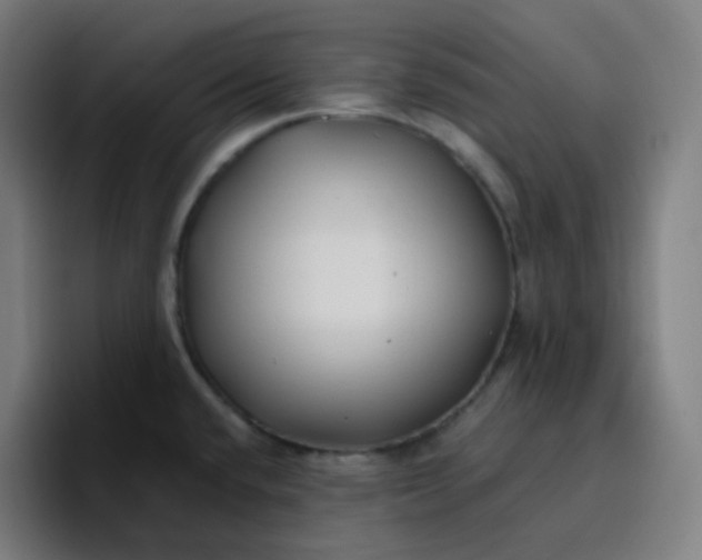 X0000096721432200802191519