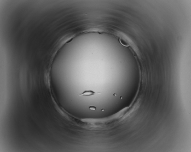 X0000096721433200802191519