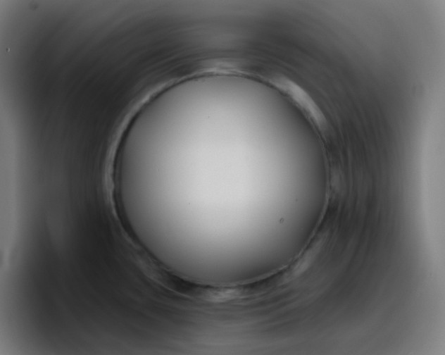 X0000096721435200802191519