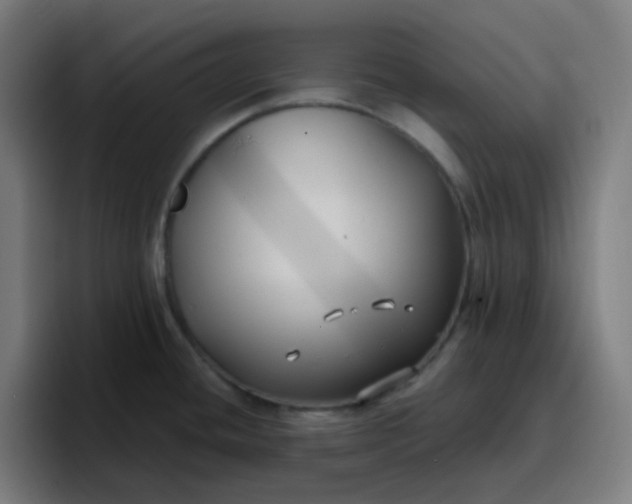 X0000096721436200802191519