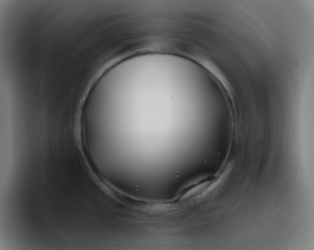 X0000096721437200802191519