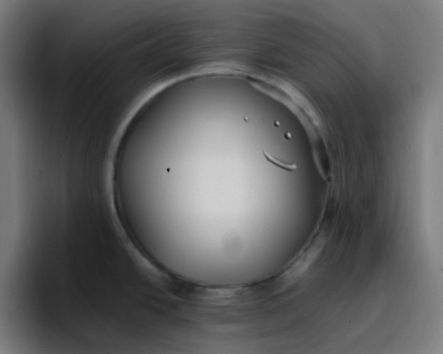 X0000096721438200802191519