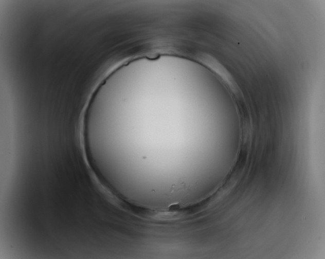 X0000096721439200802191519