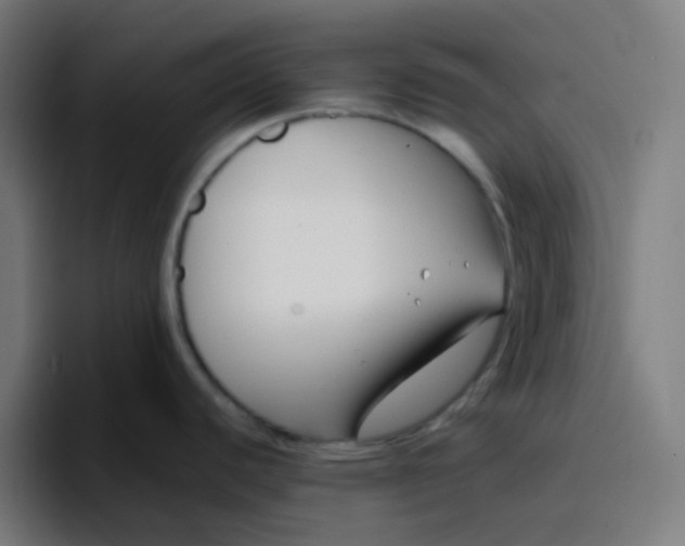 X0000096721440200802191519