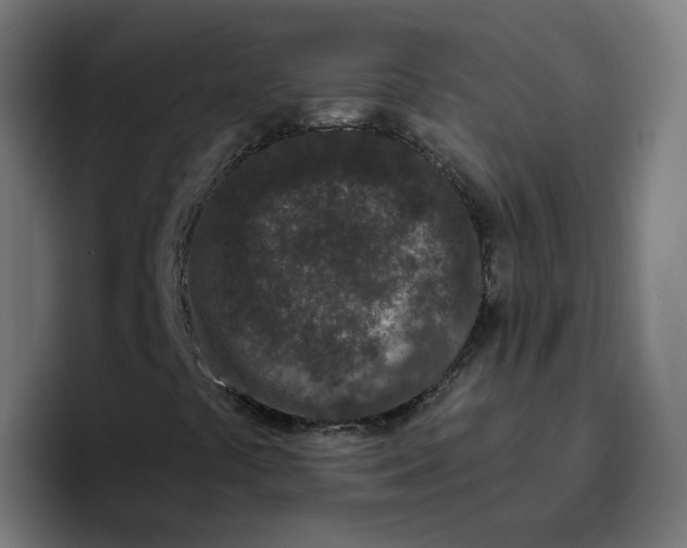 X0000096721441200802191519