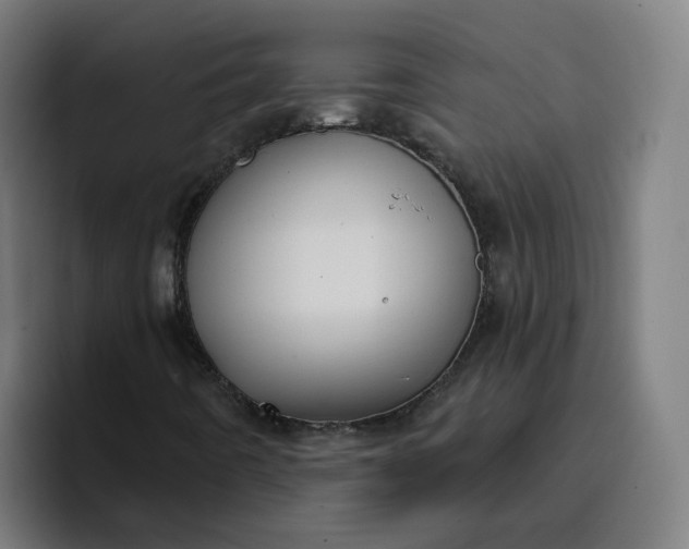 X0000096721442200802191519