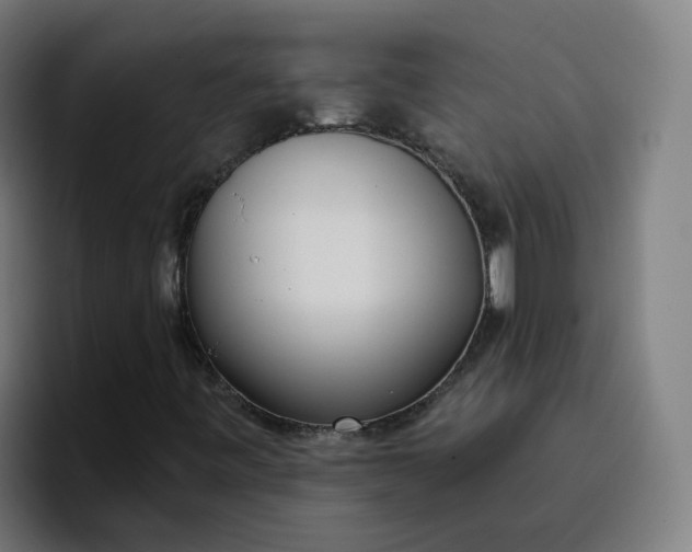 X0000096721443200802191519