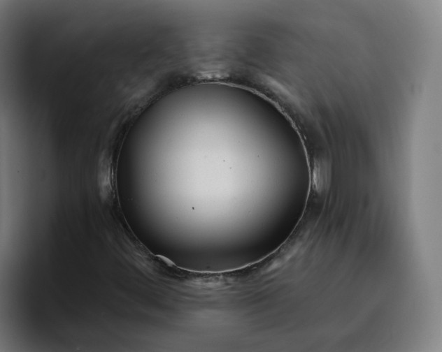 X0000096721444200802191519