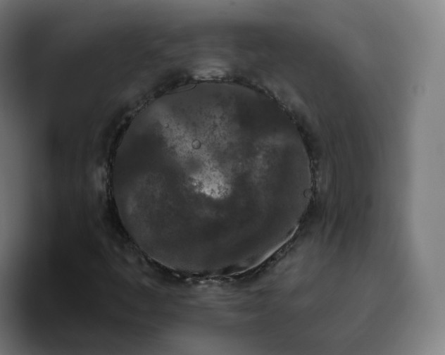 X0000096721445200802191519