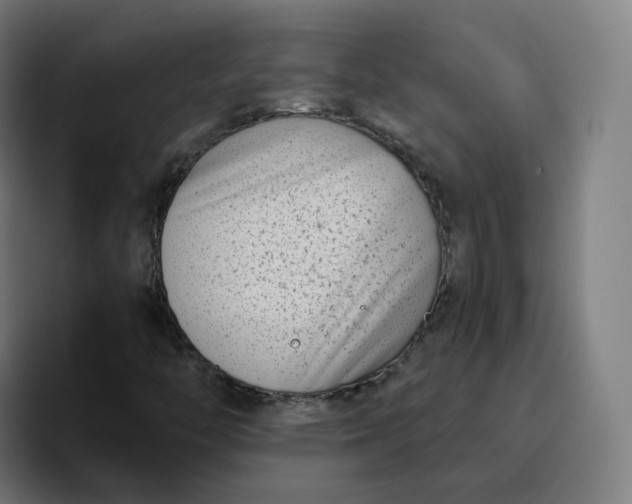 X0000096721446200802191519