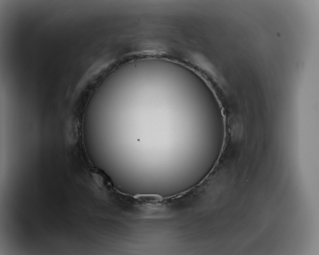 X0000096721448200802191519