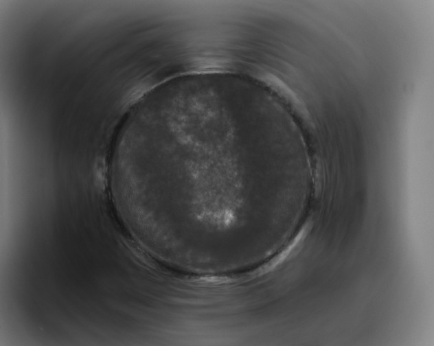 X0000096721449200802191519