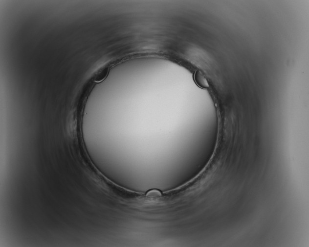 X0000096721450200802191519