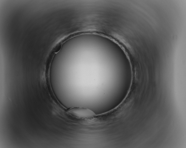 X0000096721452200802191519