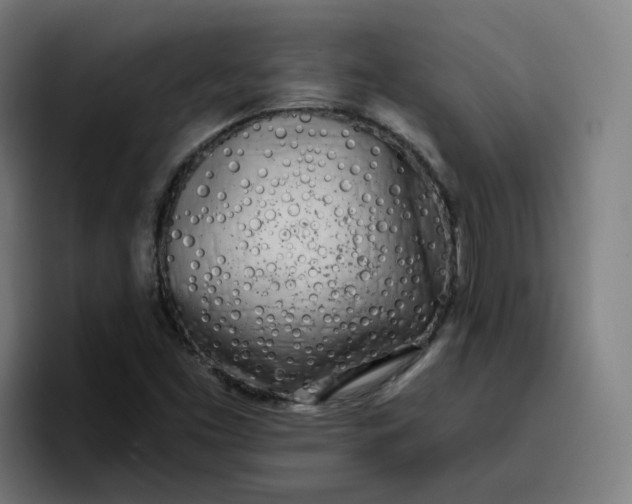 X0000096721453200802191519