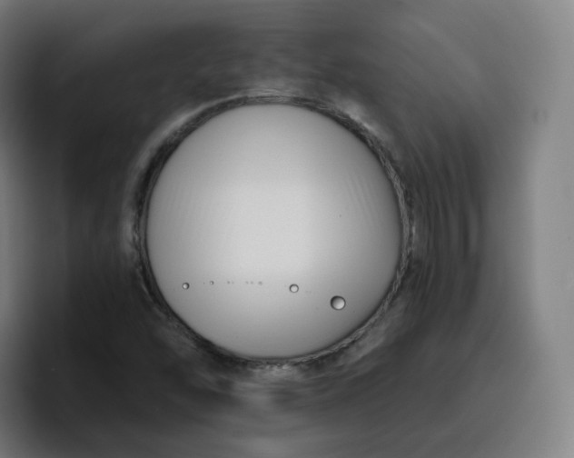 X0000096721454200802191519