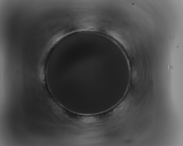 X0000096721455200802191519