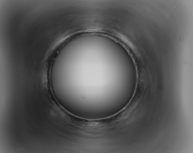 X0000096721456200802191519