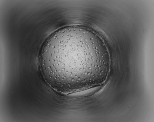 X0000096721457200802191519