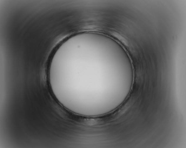 X0000096721458200802191519