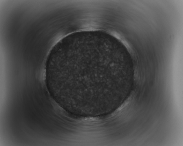 X0000096721459200802191518