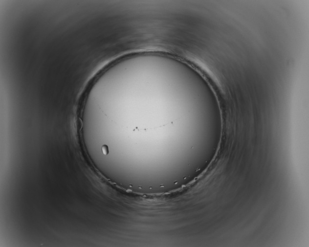 X0000096721460200802191518