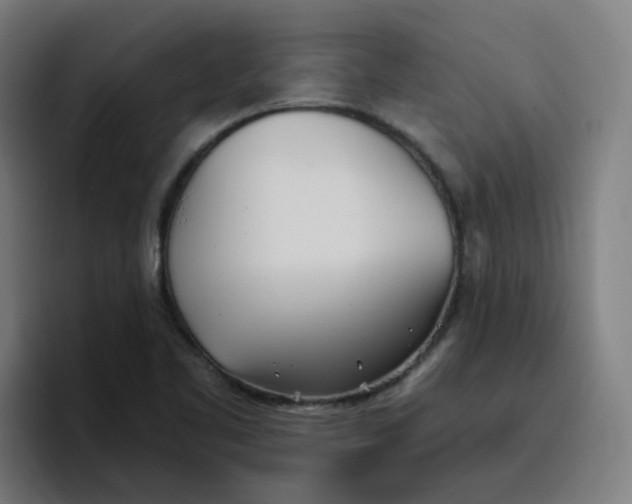 X0000096721461200802191518