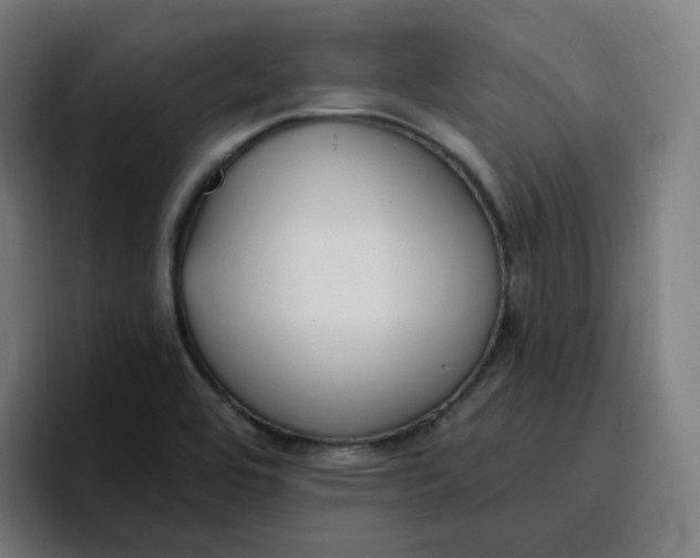 X0000096721464200802191518