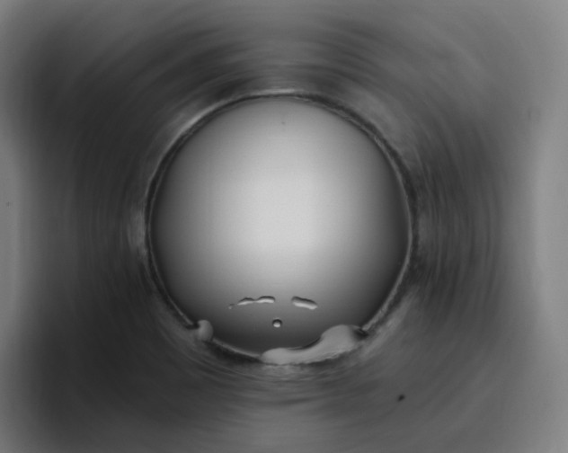 X0000096721465200802191518